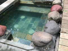 -中铁花水湾温泉酒店(大邑店)
