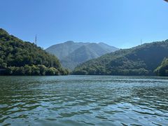 -芦茨金富饭庄·25年老字号·专做稻草鸡