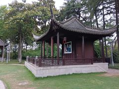 -梅园