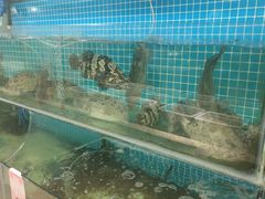 -南庄酒家·海鲜粤菜·25年老字号(环城南路店)