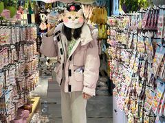 -百荣世贸商城