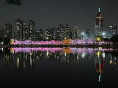 -西北湖绿化广场