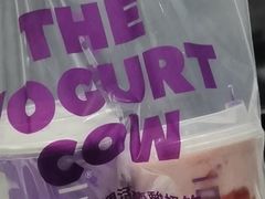 原味酸奶紫米露-一只酸奶牛(八一路店)
