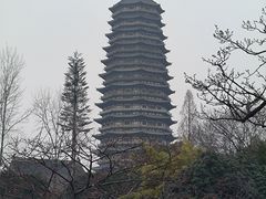 -回回锅贴(小河沿店)