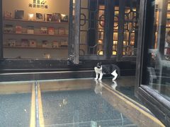 -猫的天空之城概念书店(杭州南宋御街店)