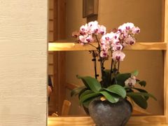 -吟松日式料理(莘庄店)