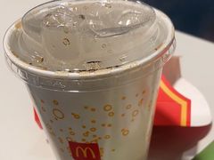 可乐-麦当劳(东直门外大街店)
