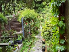 -谷咖啡·鲜花绿植花园餐厅