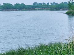 -马家湾湿地公园
