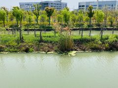 -皇粮浜公园