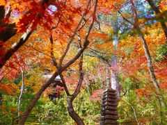 -常寂光寺