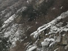 -西安祥峪森林公园