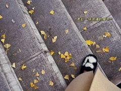 -九华山公园