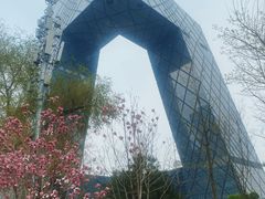 -中央广播电视总台(光华路办公区)