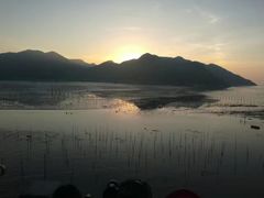 -北岐滩涂
