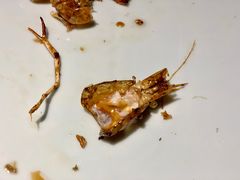 -老头儿油爆虾(星光一期店)
