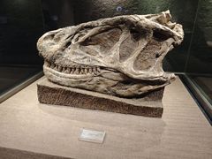 -自贡恐龙博物馆