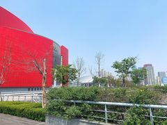 -南京奥林匹克体育中心-体育馆