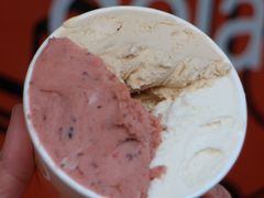 -Dip in Gelato(富民路店)