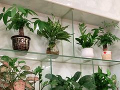 -猪仔荣大排档(湾北路店)