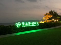 -三亚亚龙湾红树林度假酒店