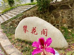 -攀枝花公园