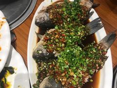 -老号尤兔头(幸福店)