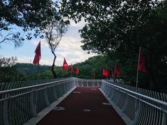 -金鸡山公园