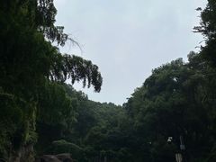 -岳麓山风景名胜区