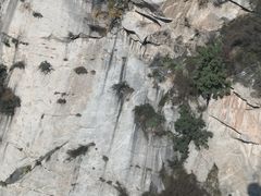 -少华山国家森林公园