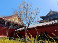 -天津妈祖文化园