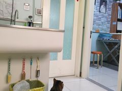 -纳吉亚猫专科动物医院博雅分院