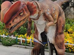 -南通洲际绿博园