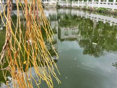 -黄埔古港