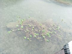 -小七孔景区东门售票处