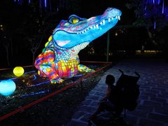 -宁波野生动物园