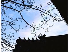 -北京艺术博物馆(万寿寺)