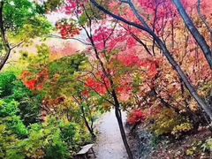 -龙道沟景区