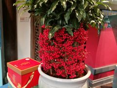 -桃源村(老门东店)