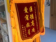 -博特宠物医院24h犬猫全科.骨科·异宠