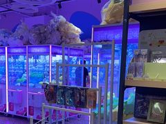 -我要抓娃娃(武进吾悦广场店)