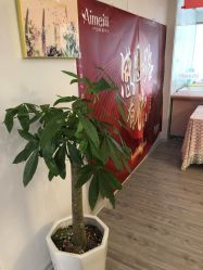 -艾美妈妈产后恢复·疼痛调理(六合龙池店)