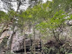 -梭布垭石林景区