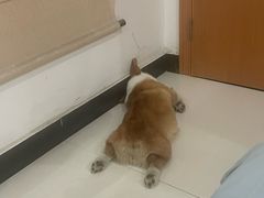 -顺鑫石门市场