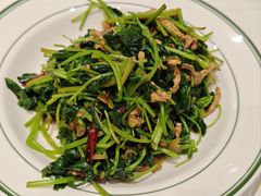 鲜山芹菜炒肉丝-吉林省林业宾馆-餐厅