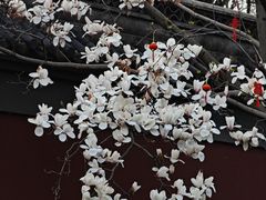 -钱王祠