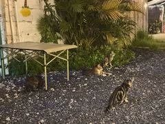 -DGE季风钓虾营地·团建·聚会