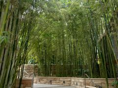 -迪士尼小镇