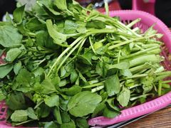 -广宁炭炉鸡煲·富临门饭店