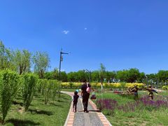 -天津东丽湖风景区